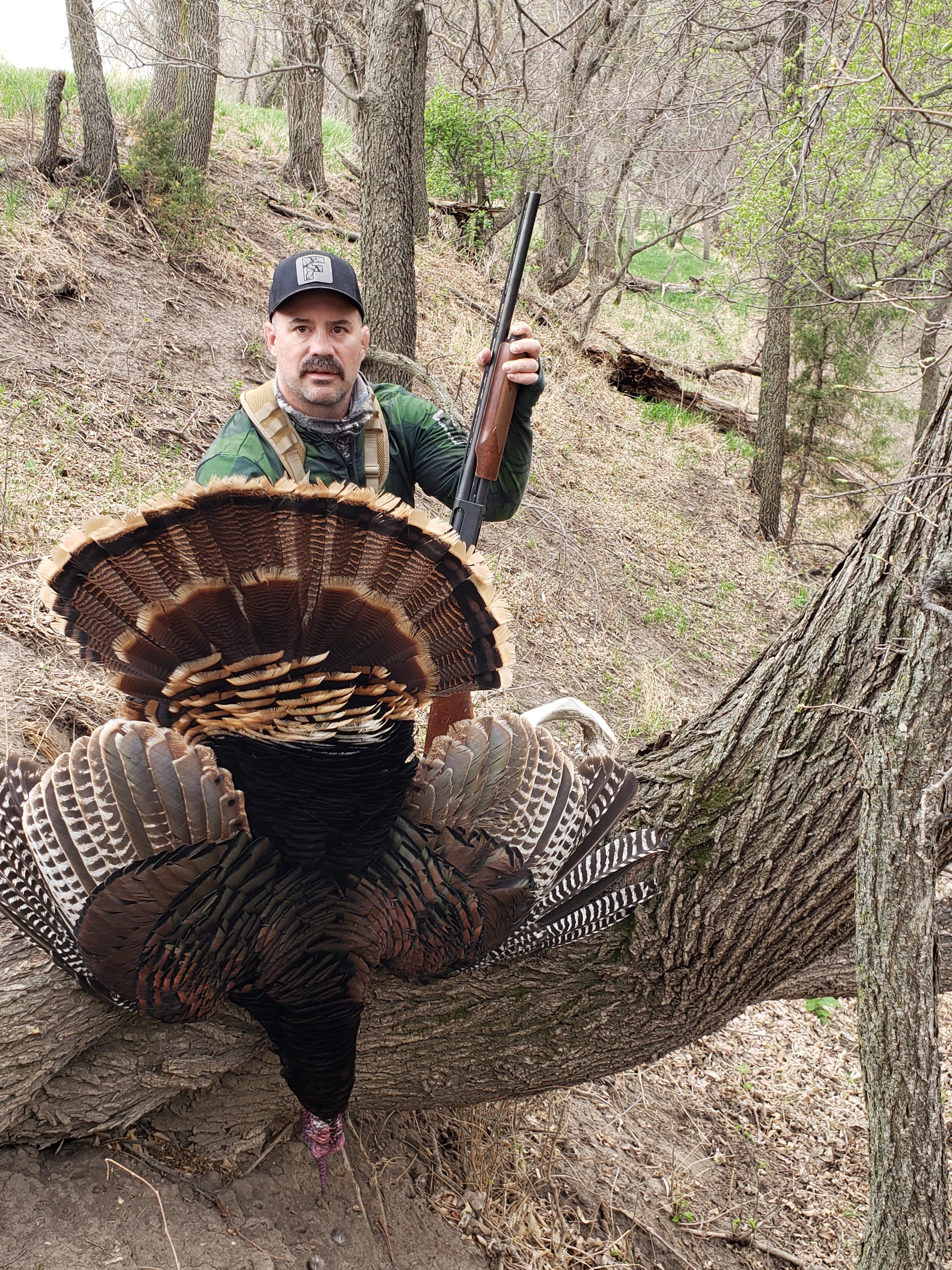 10 Tips To Tag a Public Land Gobbler